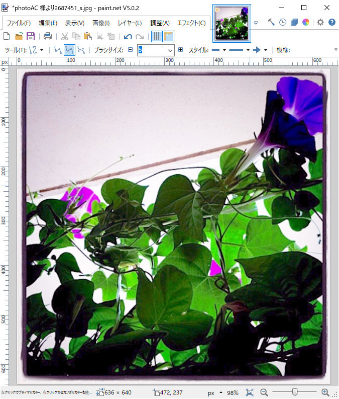 paintdotnet 自動レベル調整を適用した写真画像(photoAC 様より ベランダで栽培する朝顔 - No 2687451)