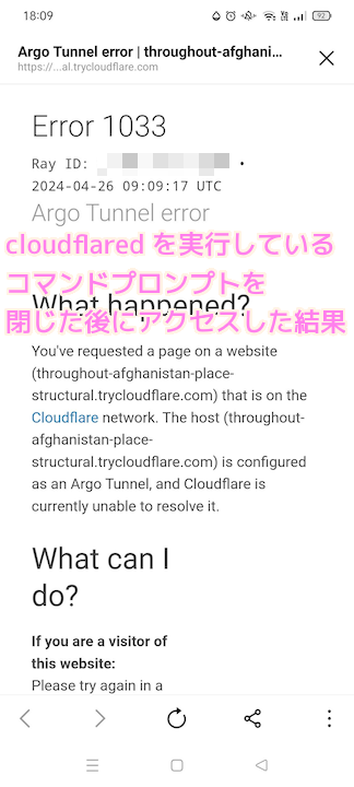 cloudflared を実行しているコマンドプロンプトを閉じた後に cloudflared に生成してもらった URL にアクセスすると Error 1033 になりました..