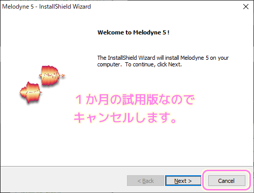 Cakewalk セットアップ Melodyne5（試用版）のインストールはキャンセル１