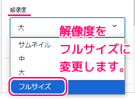 WordPress に配置したGIF画像の解像度をフルサイズに変更２