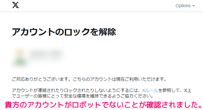 ツイッター（現X）のアカウントがロックされたときの対処法４