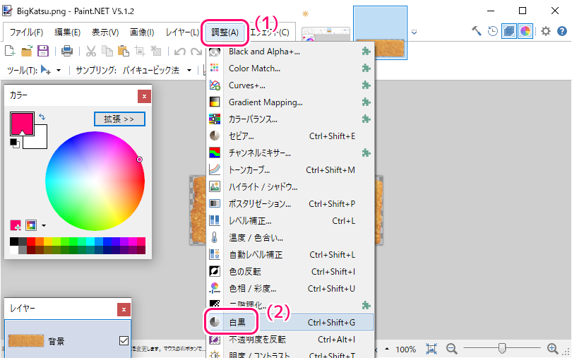 PaintDotNet 画像をモノクロに変更２