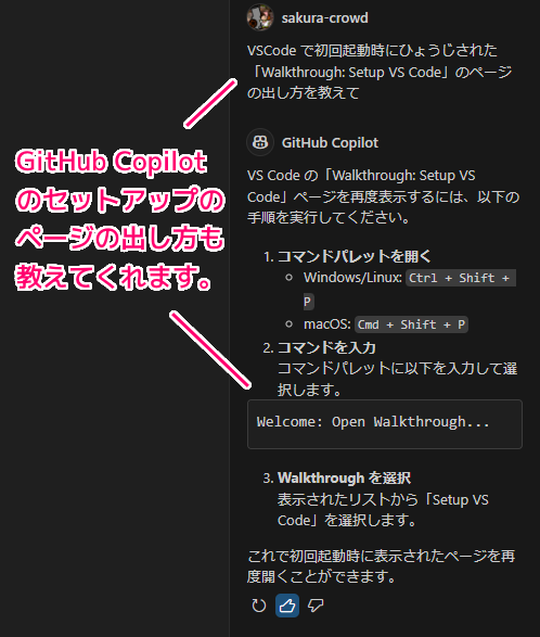 VisualStudioCode 無料版 Copilot の導入13