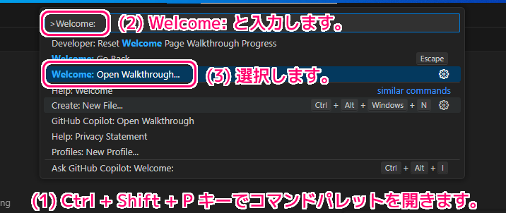 VisualStudioCode 無料版 Copilot の導入14