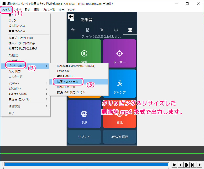 AviUtl クリッピング＆リサイズで上下左右の指定した幅をトリミング３