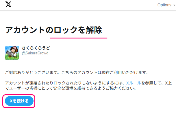 Twitter（現X）アカウントをロックされた後の本人確認の例7