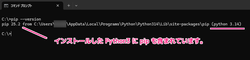 MagicalVoxelの.plyをPythonで扱う plyfile の導入1