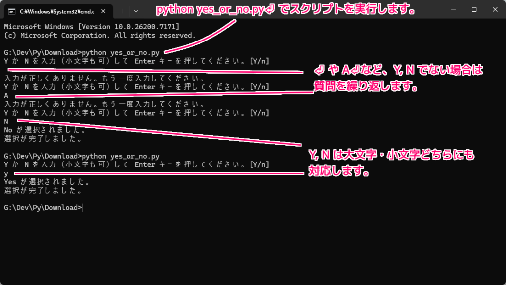 Python3 CLI で YesNo の入力に対応するスクリプト例2